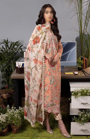 8c-2.jpg